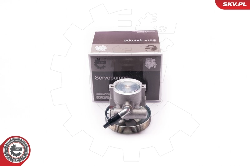 Hydraulic Pump, steering